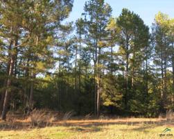 Lot 12 Lake Gladewater Estates