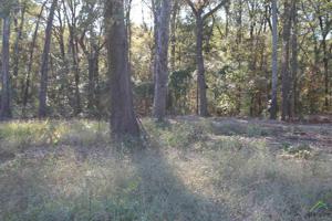 Lot 3 Block 1 S TBD Gatlinburg Rd
