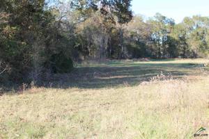 10 ac int TBD Gatlinburg Road