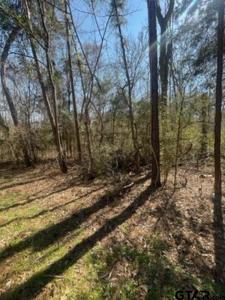 214 Forest