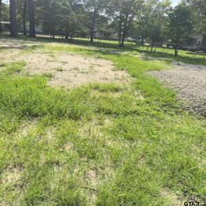 4954 Lost Pine