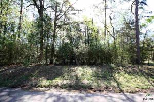 Sec 6 Lot 125 Bluewing Ridge - Valleywood Trail