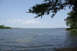 Lot 99 PR 2712