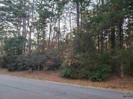 Lot 381 Holly Trail East