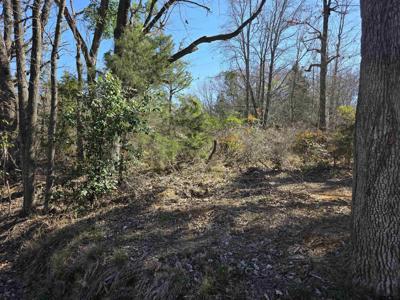 0000 County Road 1420