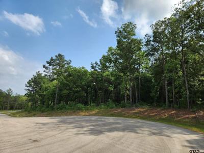 3281 Shadow Pine Dr (Lot 64 & L5)