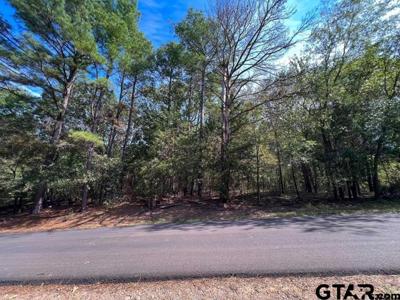 Lot 49 Angelina Dr