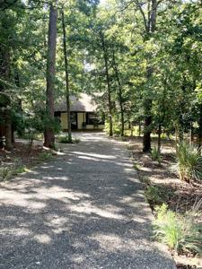 203 Peach Tree