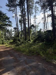 0232 SUNSET TRAIL