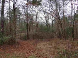 Lot 14 East Lake Estates