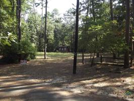 215 Weeping Willow Cove
