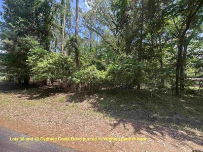 Lot 36 Cypress Creek Dr