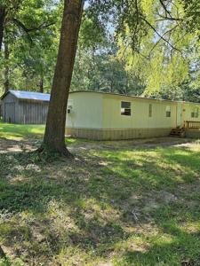 101 Knotty Pine