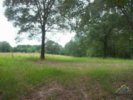 9.53 ACRES RS County Road 1275