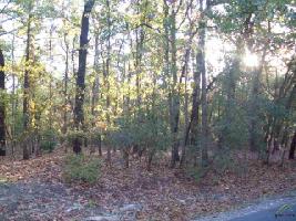 0000 Holly Trail East