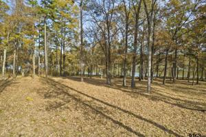 TBD PR 52416 Lot 43