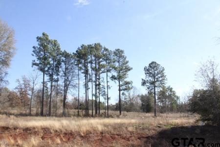 880 Stone Chimney Rd. (Lot 21 CR 3608)