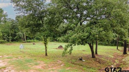 Lot 49 PR 7011