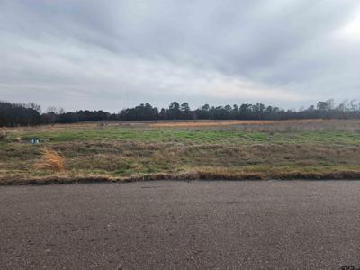 TBD Lot 52 Southshore