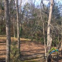 1443 Lakeshore Dr