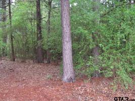 0 Forest Drive