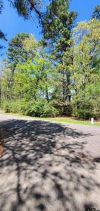 304 Rolling Ridge Road