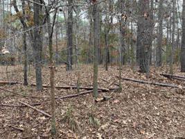TBD Crooked Creek DR