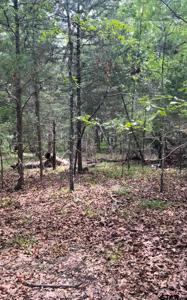 Lot 14 Hideaway