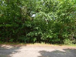 Lot 49 Lazy Lane