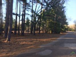 Lot 44 Chapparal Run