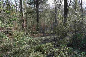 Lot 169 Ebtide Dr.