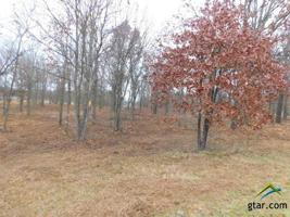TBD PR 5292