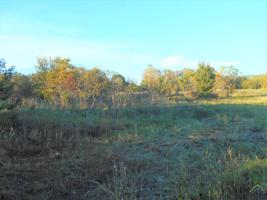 TBD COUNTY ROAD 1226