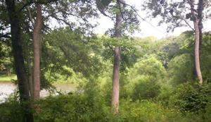Lot 7 Paradise Lane