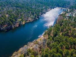 278 Dogwood Trail