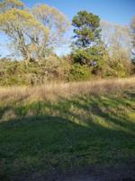 164 LAKE RD