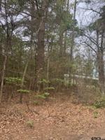000 Hickory Hollow