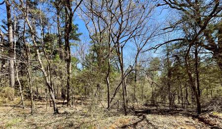 17965 Meandering Way