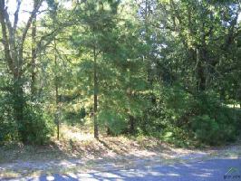 Lot 209 Holly Trail East