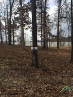 Lot 9 Caddo Point Trails