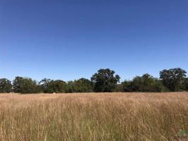 Tract 53 CR 3345