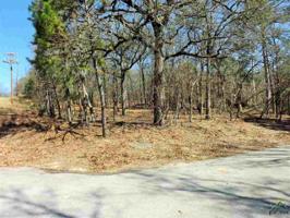 LOT 220 HOLLY LAKE RANCH SEC 2