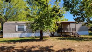 625 Crepe Myrtle