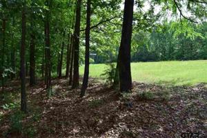 Lot C Deer Coves & FM 3007
