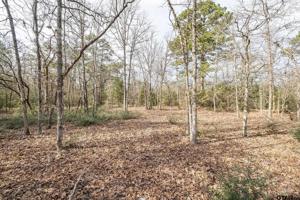 TBD Saddle Horn Ln.