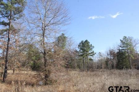 800 Stone Chimney Rd. (Lot 23 CR 3608)