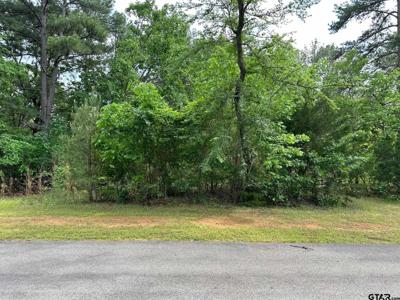 16837 Pine Hollow