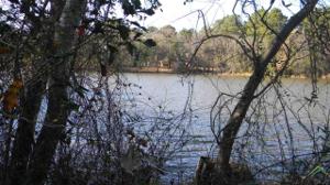 Lot 409 & 410 Woodhue Dr