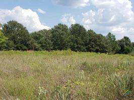 Lot 4, 5 CR 2249