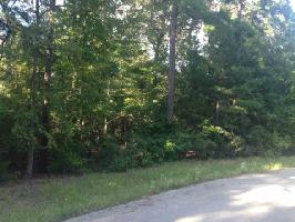 15218 Maple Leaf Court (lot 28)